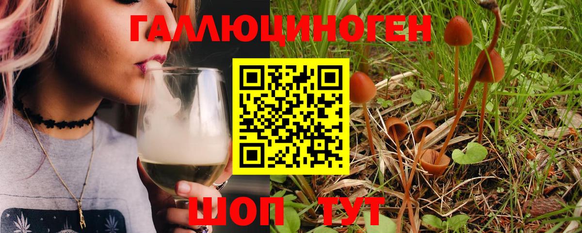 Галлюциногенные грибы Psilocybine cubensis  Вход с VPN  Златоуст 